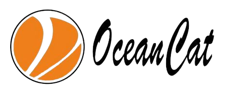 Logo Oceancat