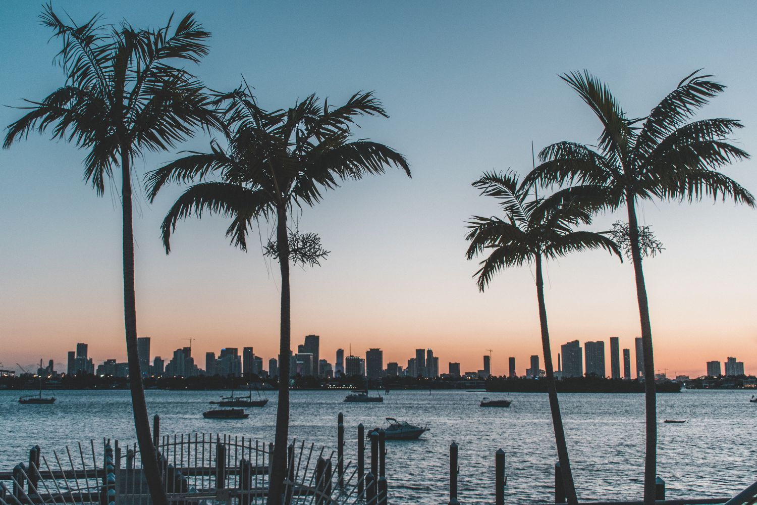little yacht sales