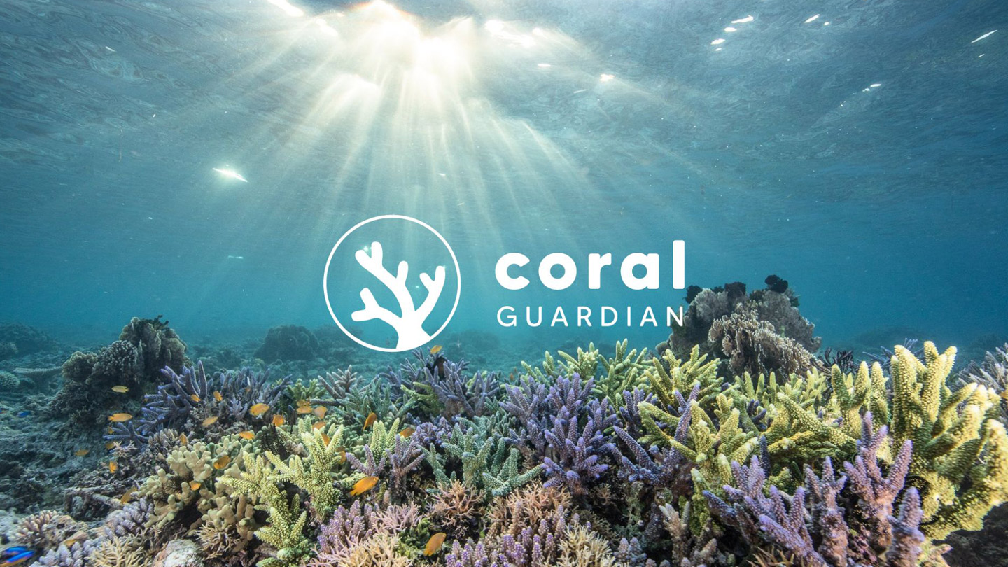 lagoon-sustainability-highlight-coral-guardian