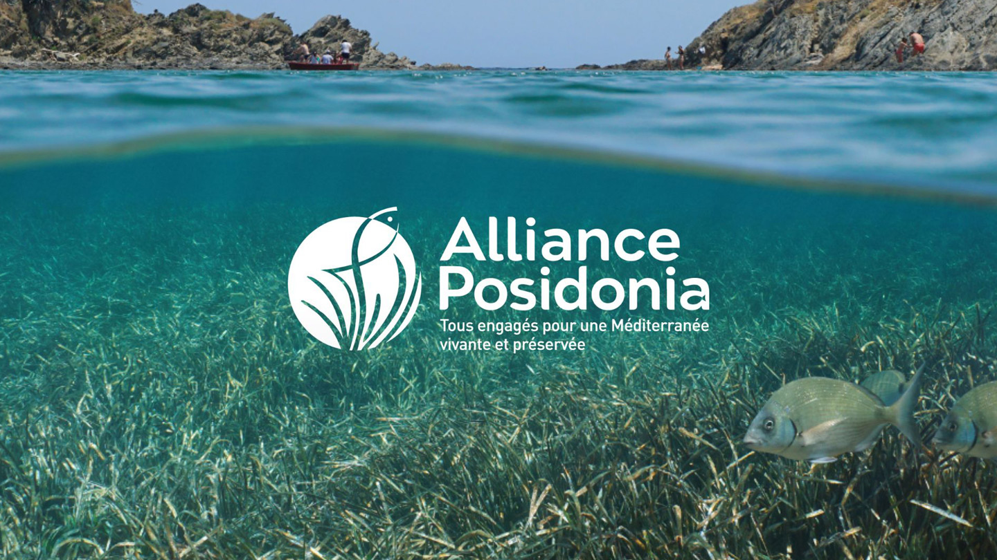 lagoon-sustainability-highlight-posidonia